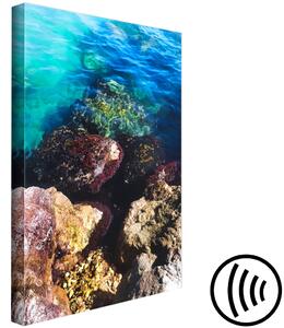 Obraz Skalnaté mořské pobřeží - fotografie modré vody a barevných kamenů