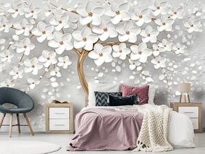 Fototapeta Magnólie - dekorativní strom s rozkvetlými světlými květy
