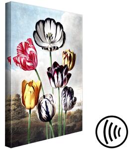 Obraz Zázraky přírody - jarní krajina s barevnými tulipány