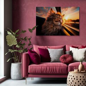 Obraz AI mainská mývalí kočka - domácí zvíře na cestě do západu slunce - vodorovně