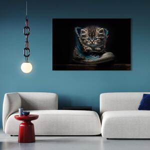 Obraz Mainská mývalí kočka - malé modrooké zvíře v botě - vodorovně