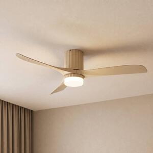 Lucande Stropní ventilátor LED Novri, béžový, Ø 132 cm,, Krémová / jantar, Obývací pokoj / jídelna, Moderní