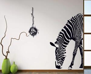 Živá Zeď Samolepka Zebra