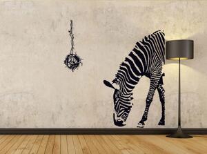 Živá Zeď Samolepka Zebra