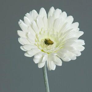 UMĚLÁ KVĚTINA gerbera 56 cm - Umělé květiny