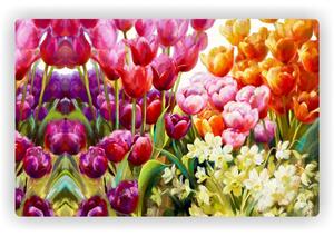 Prostírání plastové Barevné tulipány - 1000657