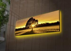 Hanah Home Obraz s led osvětlením Ledda Tree 90x30 cm