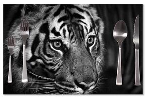 Prostírání SABLIO - Černobílý tygr 40x30cm