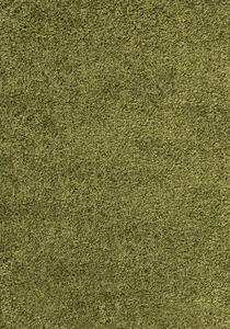 Ayyildiz Chlupatý kusový koberec Dream Shaggy 4000 zelený Typ: kulatý 120 cm