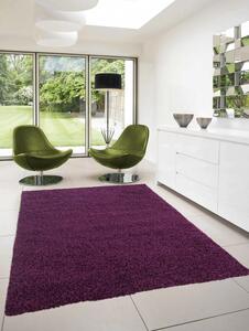 Ayyildiz Chlupatý kusový koberec Dream Shaggy 4000 fialový Typ: 200x290 cm