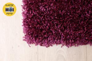Ayyildiz Chlupatý kusový koberec Dream Shaggy 4000 fialový Typ: 80x150 cm