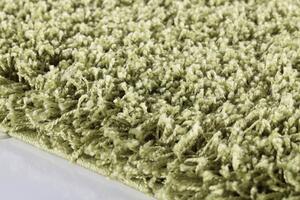 Ayyildiz Chlupatý kusový koberec Dream Shaggy 4000 zelený Typ: 80x150 cm