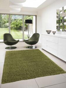 Ayyildiz Chlupatý kusový koberec Dream Shaggy 4000 zelený Typ: 60x110 cm