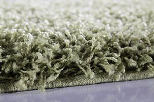 Ayyildiz Chlupatý kusový koberec Dream Shaggy 4000 zelený Typ: 120x170 cm
