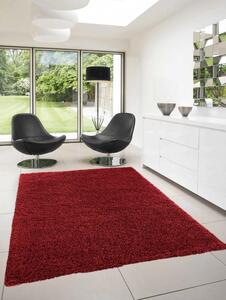 Ayyildiz Chlupatý kusový koberec Dream Shaggy 4000 červený Typ: kulatý 120 cm