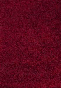 Ayyildiz Chlupatý kusový koberec Dream Shaggy 4000 červený Typ: kulatý 120 cm