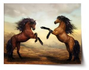 Sablio Plakát Vzpínající se koně - 60x40 cm