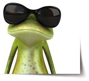 Plakát SABLIO - Žába v brýlích 60x40 cm