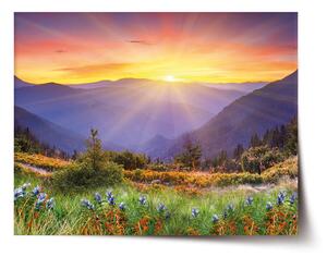 Plakát SABLIO - Západ slunce nad lesem 60x40 cm