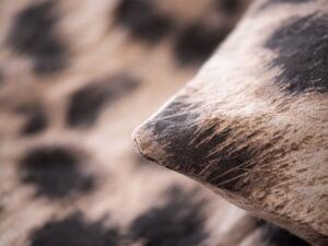 Face-2-Face Flanelové ložní povlečení, leopardí vzor (200 x 220 cm) (100306695005)