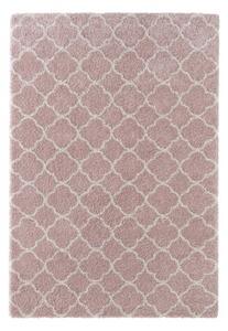 Moderní kusový koberec Grace 102602 růžový Typ: 80x150 cm