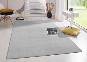 Moderní kusový koberec Fancy 103006 | šedý Typ: 80x150 cm