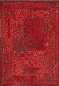 Moderní kusový koberec Celebration 103467 | červený Typ: 120x170 cm