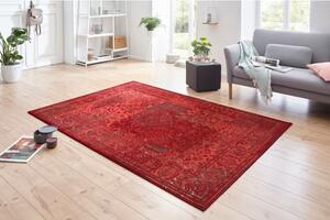 Moderní kusový koberec Celebration 103467 | červený Typ: 160x230 cm
