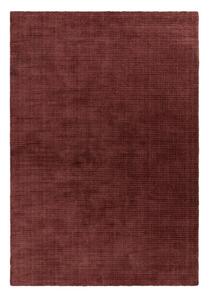 Vínový ručně tkaný koberec 160x230 cm – Asiatic Carpets
