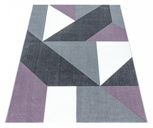 Moderní kusový koberec Ottawa 4205 lila | Vícebarevná Typ: 80x150 cm