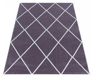 Moderní kusový koberec Rio 4601 lila | Fialová Typ: 160x230 cm