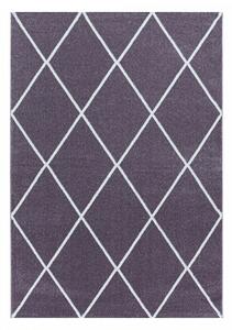 Moderní kusový koberec Rio 4601 lila | Fialová Typ: 200x290 cm