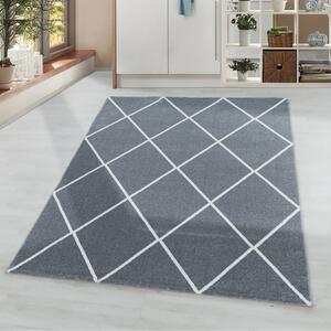 Moderní kusový koberec Rio 4601 silver | Šedá Typ: 120x170 cm