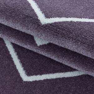 Moderní kusový koberec Rio 4602 lila | Fialová Typ: 120x170 cm