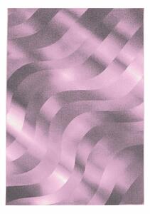 Moderní kusový koberec Costa 3529 pink | Růžová Typ: 240x340 cm