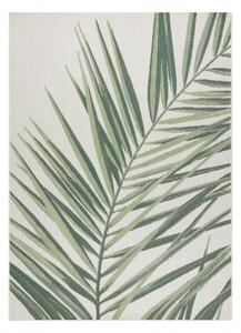 Koberec COLOR 19434/062 SISAL Listy zelená JUNGLE velikost 120x170 cm | krásné koberce cz