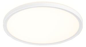Livarno® LED stropní svítidlo (bílá) (100409538002)