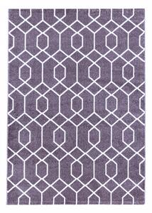 Moderní kusový koberec Efor 3713 violet | Fialová Typ: 160x230 cm