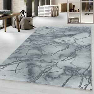 Moderní kusový koberec Naxos 3815 silver | Šedá Typ: 140x200 cm