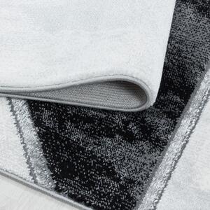 Moderní kusový koberec Naxos 3817 silver | Vícebarevná Typ: 80x150 cm