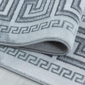 Moderní kusový koberec Naxos 3818 silver | Vícebarevná Typ: 80x150 cm