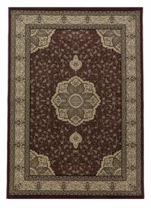 Klasický kusový koberec Kashmir 2601 red | Červená Typ: 240x340 cm