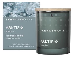 Vonná svíčka ARKTIS (arktická krajina) 65 g – speciální edice