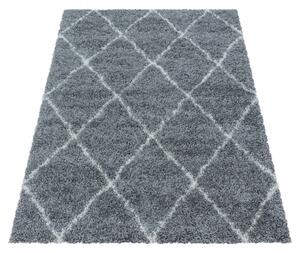 Chlupatý kusový koberec Alvor Shaggy 3401 grey | Šedá Typ: 160x230 cm