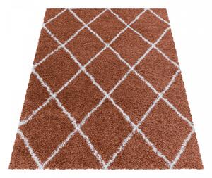 Chlupatý kusový koberec Alvor Shaggy 3401 terra | Oranžová Typ: 120x170 cm