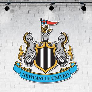 DUBLEZ | Dřevěný obraz - Newcastle United