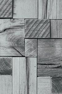 Ayyildiz Moderní kusový koberec Parma 9260 Black | černý Typ: 160x230 cm