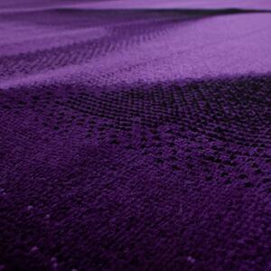 Moderní kusový koberec Parma 9240 Lila | fialový Typ: 160x230 cm