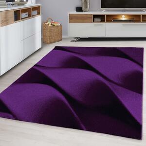 Moderní kusový koberec Parma 9240 Lila | fialový Typ: 120x170 cm