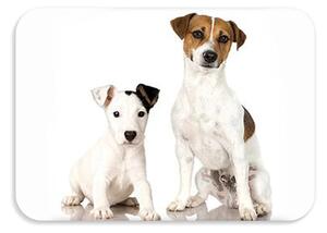 Dětská podložka na stůl 56x37 cm DOGS & CATS Varianta: Spotti